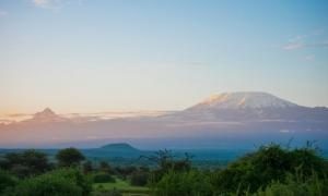 The World of the MountainVision