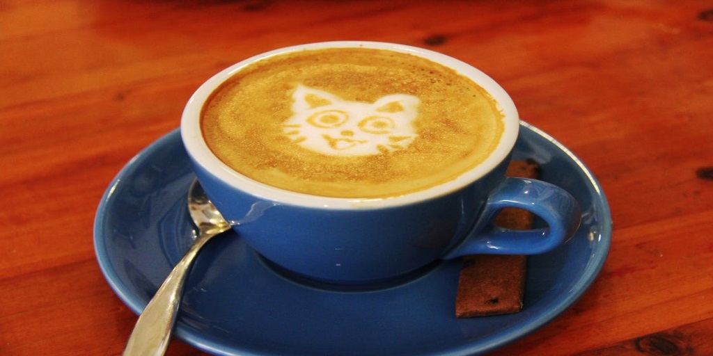 “Grumpy Cat” Wins Copyright Infringement Lawsuit